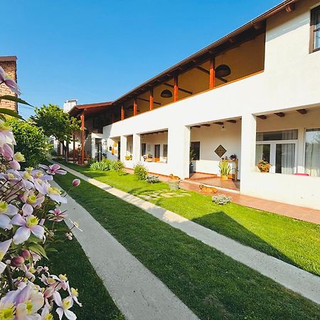 Elma Guesthouse Alba Iulia Exterior photo